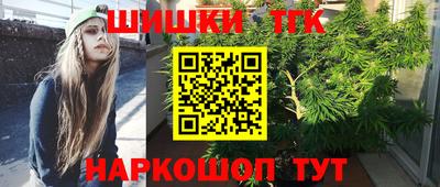 гашик Тверь