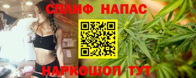 гашик Тверь