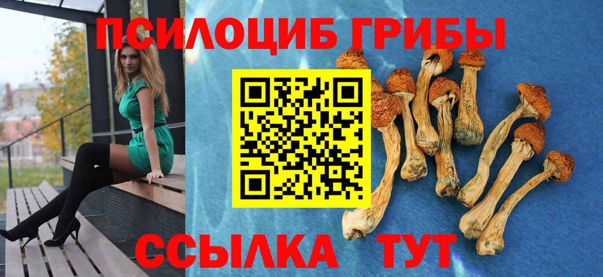 Белорецк  Псилоцибиновые грибы GOLDEN TEACHER  Вход с VPN 